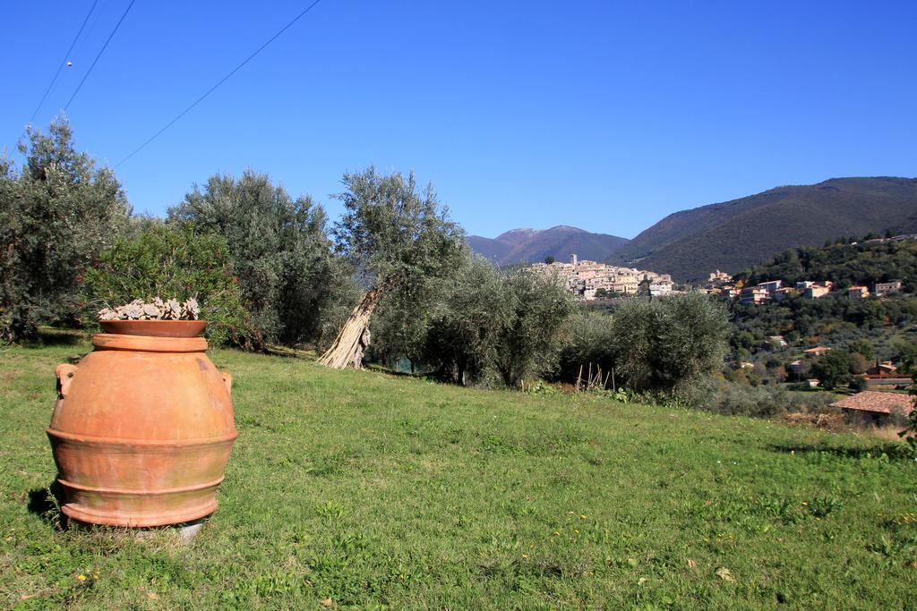 B&B Colle Perrini Country House Casperia Exterior foto