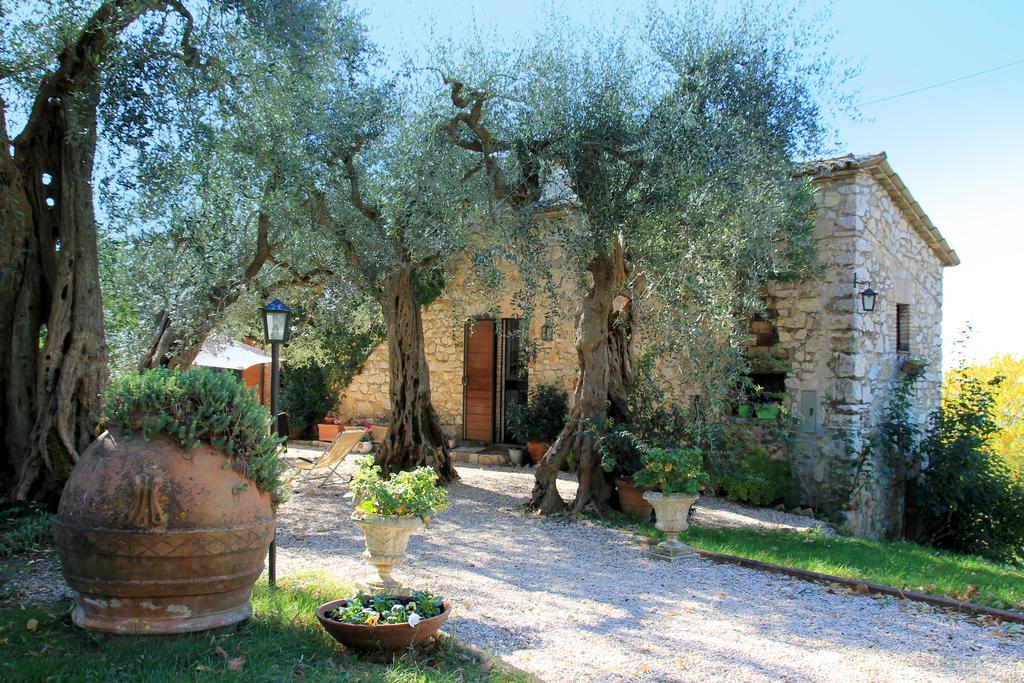 B&B Colle Perrini Country House Casperia Exterior foto